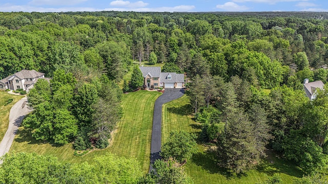 10310 E Rivershore Dr SE, Alto, MI 49302 - aerial view of property and surrounding area with a heavily wooded area