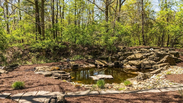 1303 Towsley Ln, Ann Arbor, MI 48105 - view of nature