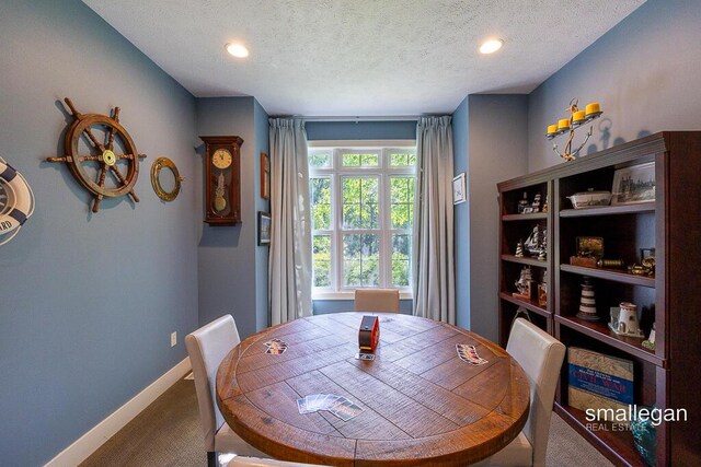 3440 Monterey Hills Dr NE, Grand Rapids, MI 49525 - carpeted dining area featuring a textured ceiling and recessed lighting
