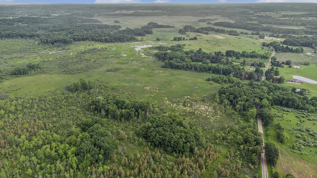 12170 Riethmiller Rd, Grass Lake, MI 49240 - aerial view of property's location
