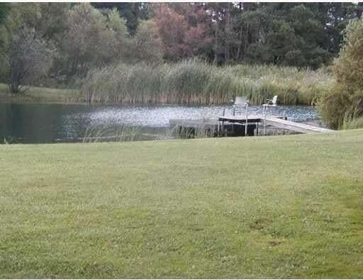 12170 Riethmiller Rd, Grass Lake, MI 49240 - view of green lawn with a water view and a dock