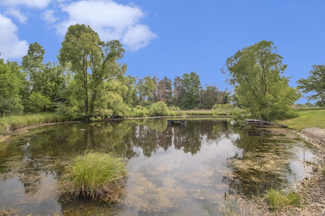 12170 Riethmiller Rd, Grass Lake, MI 49240 - water view