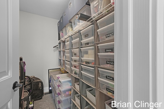 3293 Creek Ridge Dr, Hudsonville, MI 49426 - view of storage area