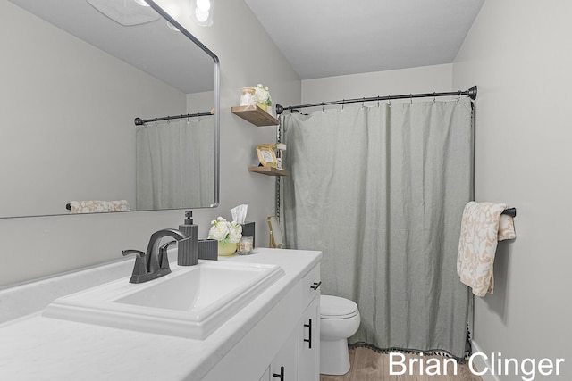 3293 Creek Ridge Dr, Hudsonville, MI 49426 - bathroom with vanity, wood finished floors, and curtained shower