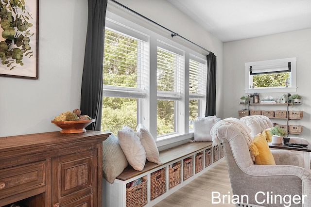 3293 Creek Ridge Dr, Hudsonville, MI 49426 - sitting room featuring light wood-style flooring