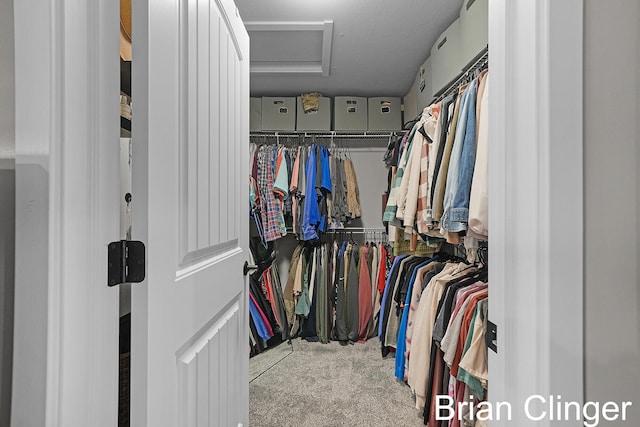 3293 Creek Ridge Dr, Hudsonville, MI 49426 - walk in closet featuring carpet flooring and attic access