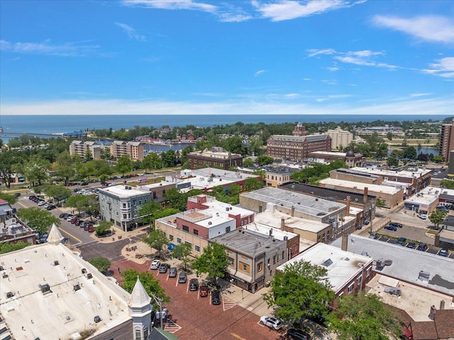 333 State St Unit 5, Saint Joseph, MI 49085 - view of urban area with a large body of water