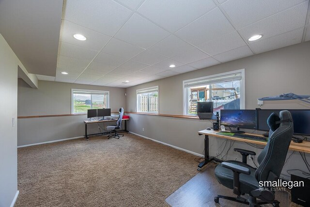6952 Deer Cove Dr SE, Caledonia, MI 49316 - photo 16