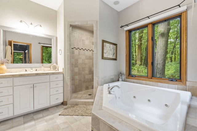 1255 White Pine Dr SW, Grand Rapids, MI 49534 - bathroom with healthy amount of natural light, a jetted tub, vanity, and a tile shower