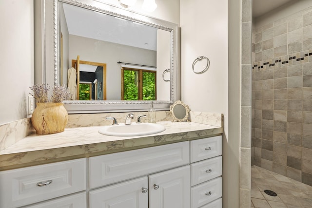 1255 White Pine Dr SW, Grand Rapids, MI 49534 - full bathroom with vanity and a tile shower