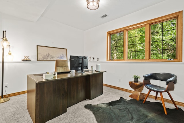 1255 White Pine Dr SW, Grand Rapids, MI 49534 - office space featuring carpet flooring