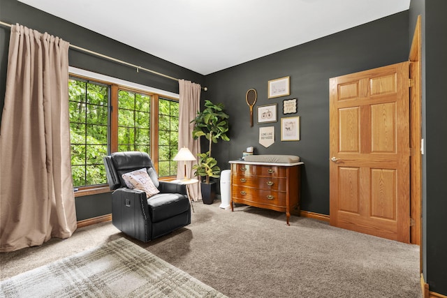1255 White Pine Dr SW, Grand Rapids, MI 49534 - sitting room featuring carpet floors