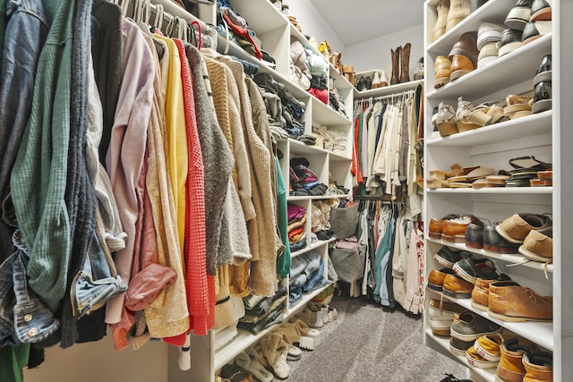 1255 White Pine Dr SW, Grand Rapids, MI 49534 - spacious closet with carpet floors