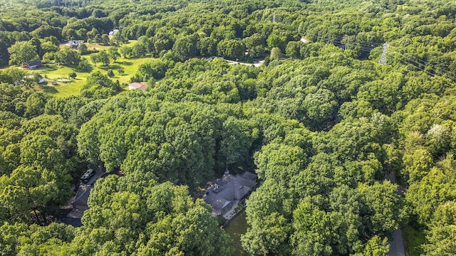 1255 White Pine Dr SW, Grand Rapids, MI 49534 - aerial overview of property's location with a forest