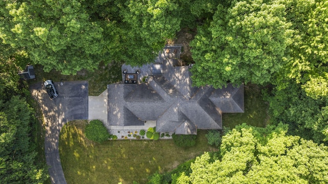 1255 White Pine Dr SW, Grand Rapids, MI 49534 - view from above of property