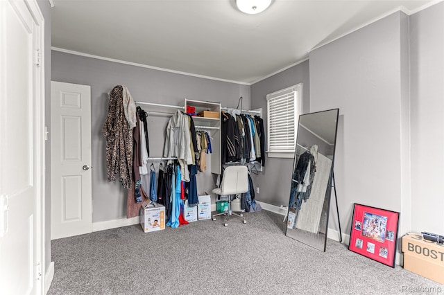 6842 Jonathon St, Dearborn, MI 48126 - spacious closet with carpet floors