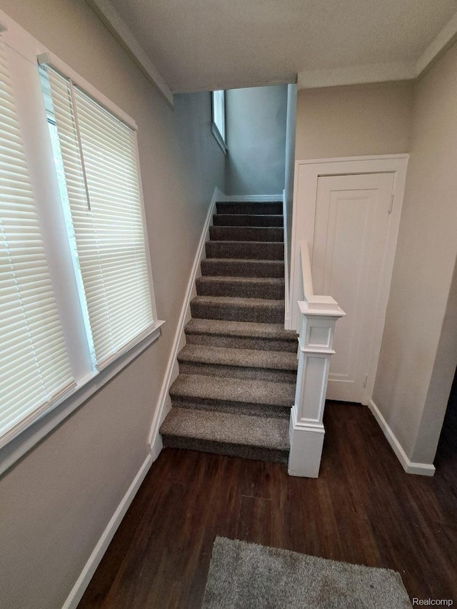 14237 Rosemary St, Detroit, MI 48213 - photo 9