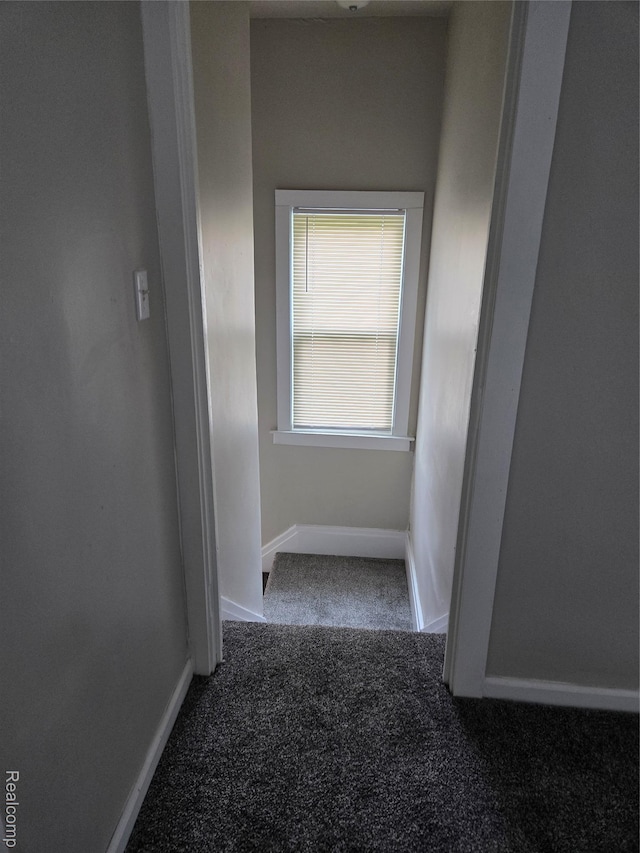 14237 Rosemary St, Detroit, MI 48213 - photo 33