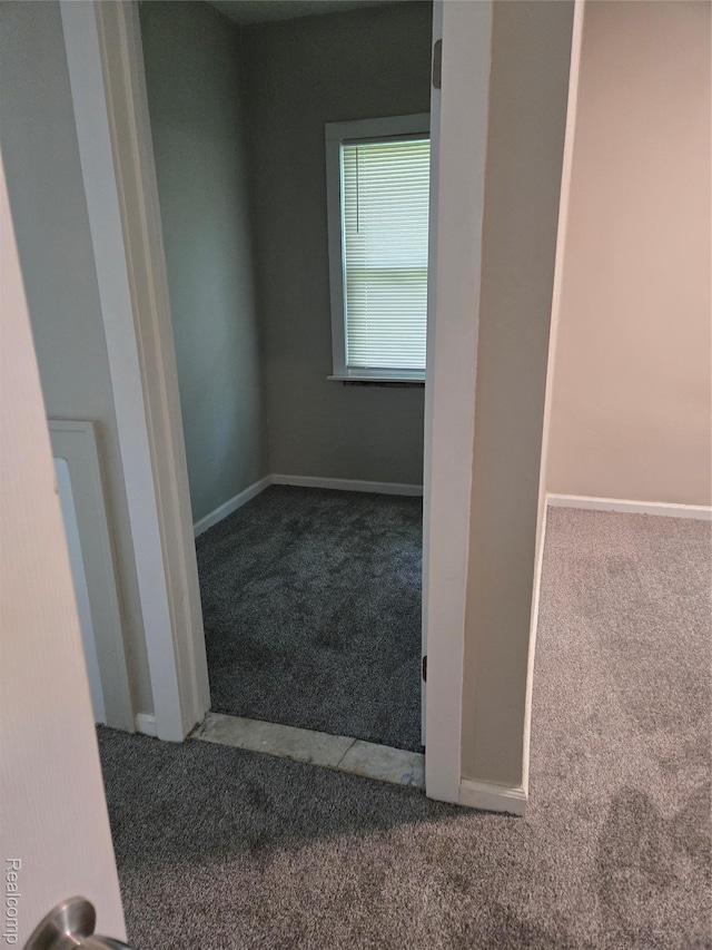 14237 Rosemary St, Detroit, MI 48213 - photo 23