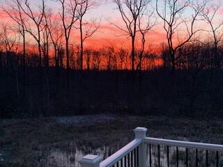 3078 N Spurway Dr, Ann Arbor, MI 48105 - view of yard