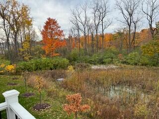 3078 N Spurway Dr, Ann Arbor, MI 48105 - view of yard with a view of trees