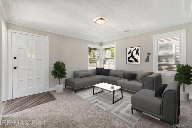 23736 Mac Arthur Blvd, Warren, MI 48089 - living room featuring crown molding and a textured ceiling