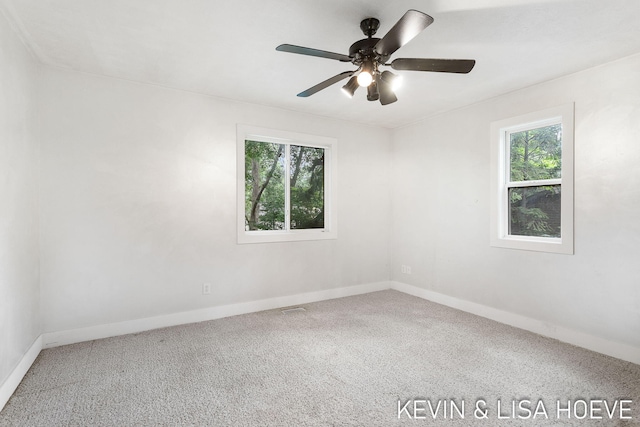 101 Manley Ave, Holland, MI 49424 - photo 30