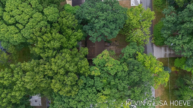 101 Manley Ave, Holland, MI 49424 - photo 15
