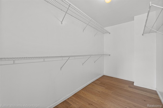 438 Old Pine Way, Walled Lake, MI 48390 - walk in closet with wood finished floors
