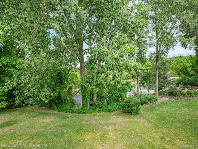 6144 Strawberry Cir, Commerce Twp, MI 48382 - photo 42