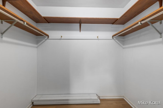 666 Waterview Ct SW, Grandville, MI 49418 - spacious closet with wood finished floors