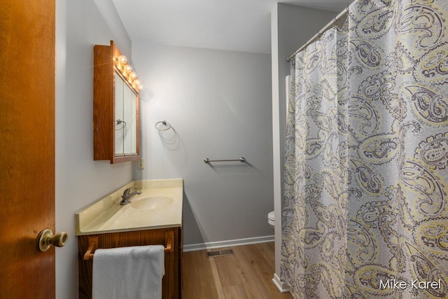 666 Waterview Ct SW, Grandville, MI 49418 - bathroom featuring vanity, wood finished floors, and curtained shower