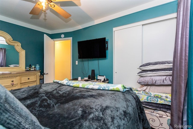 24645 Greenbrier Ave, Eastpointe, MI 48021 - bedroom featuring a ceiling fan and a closet
