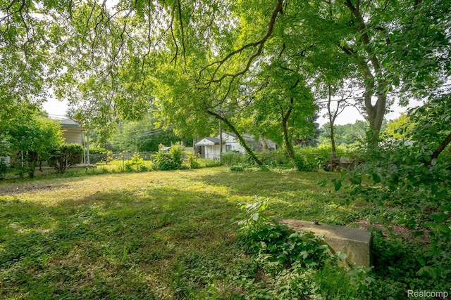 21890 Sharkey St, Clinton Township, MI 48035 - view of yard
