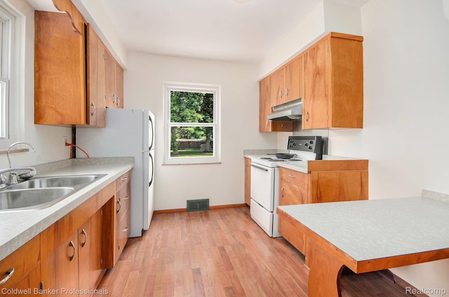 2740 Judah Rd, Lake Orion, MI 48359 - kitchen featuring white appliances, under cabinet range hood, light wood-style floors, and light countertops
