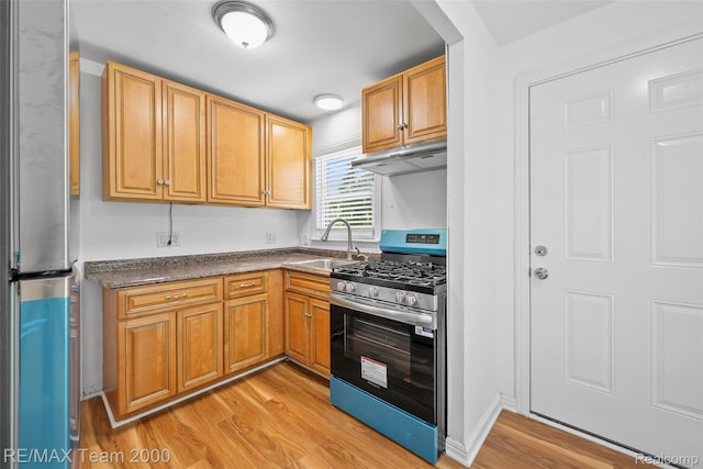 26389 Annapolis St, Dearborn Heights, MI 48125 - kitchen with stainless steel appliances, light wood-style floors, under cabinet range hood, dark countertops, and brown cabinetry