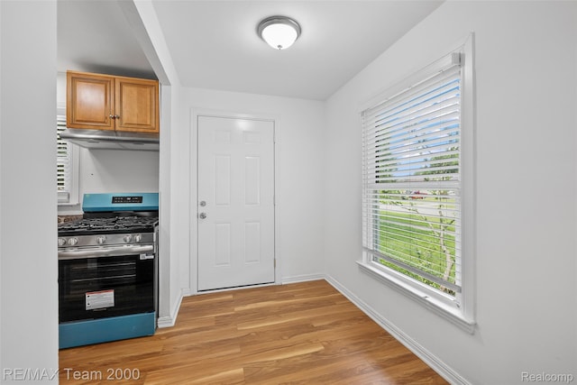26389 Annapolis St, Dearborn Heights, MI 48125 - kitchen with stainless steel range with gas stovetop, under cabinet range hood, light wood-type flooring, and healthy amount of natural light