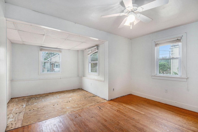1137 Merrifield St SE, Grand Rapids, MI 49507 - spare room with light wood finished floors, plenty of natural light, ceiling fan, and a drop ceiling