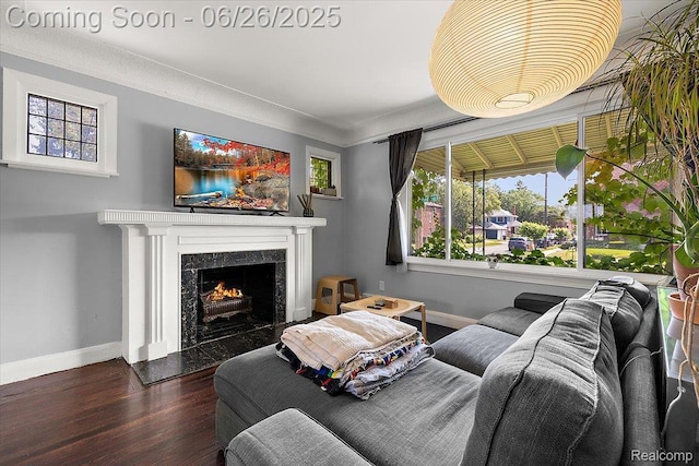 17617 Indiana St, Detroit, MI 48221 - living area with wood finished floors and a high end fireplace