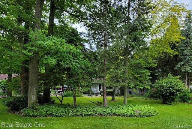 6637 Osbourn Dr, Caseville, MI 48725 - photo 7