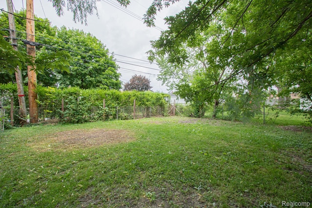 24917 Dale Ave, Eastpointe, MI 48021 - view of yard