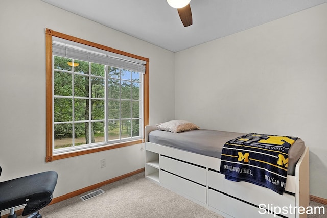 13263 Keller Ave NE, Cedar Springs, MI 49319 - photo 13