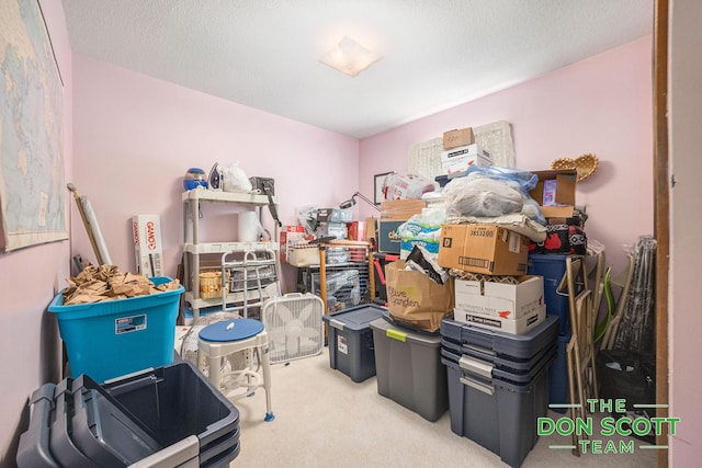 11829 Hoskins Ave NE, Cedar Springs, MI 49319 - view of storage room