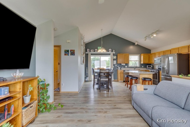 4233 Ives Farm Ln NE, Cedar Springs, MI 49319 - living room with light wood-style floors, high vaulted ceiling, and track lighting