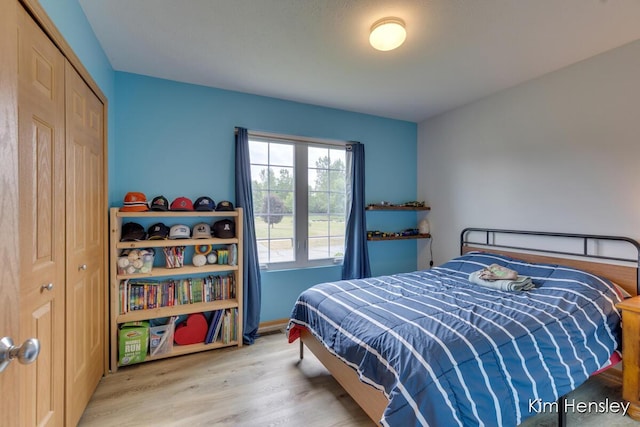 4233 Ives Farm Ln NE, Cedar Springs, MI 49319 - bedroom with wood finished floors and a closet