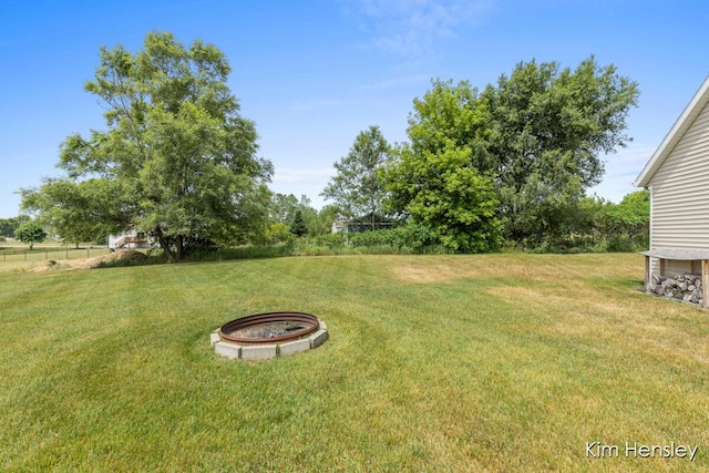 4233 Ives Farm Ln NE, Cedar Springs, MI 49319 - view of green lawn
