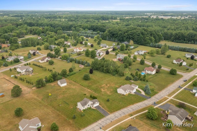 4233 Ives Farm Ln NE, Cedar Springs, MI 49319 - drone / aerial view