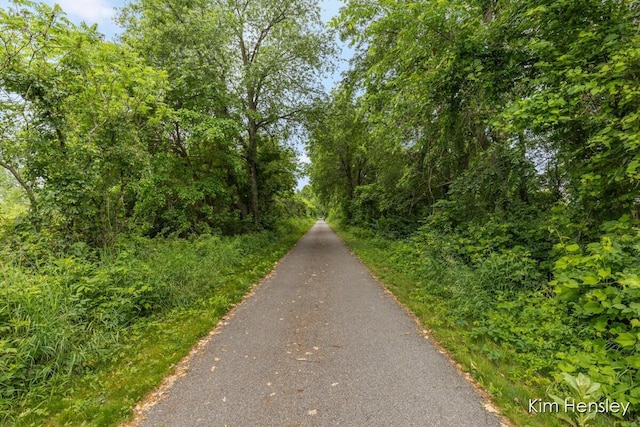 4233 Ives Farm Ln NE, Cedar Springs, MI 49319 - view of road