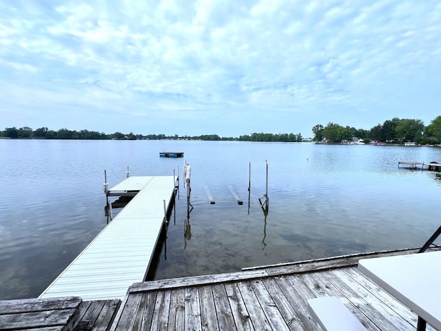 25687 M-86, Sturgis, MI 49091 - photo 3