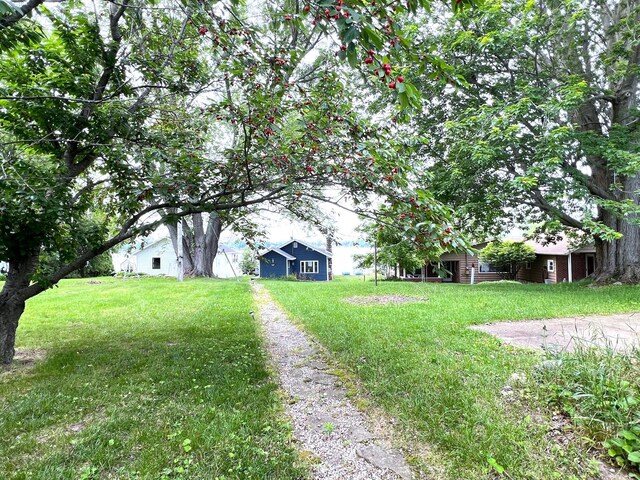 25687 M-86, Sturgis, MI 49091 - photo 23